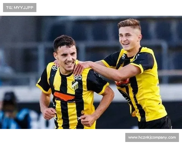 圣枪游侠全面技能解析与战术策略全方位指南 圣枪游侠全面技能解析与战术策略全方位指南