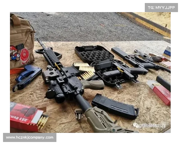 个人合法购枪的五种途径与安全合规注意事项全解析与实务指南详解