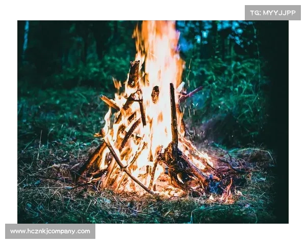 《暗影圣域》探索必备五大技巧 带你揭开神秘世界的奥秘 《暗影圣域》探索必备五大技巧 带你揭开神秘世界的奥秘