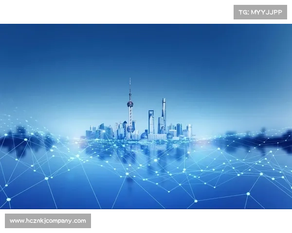 在现实与虚拟交织的时代我们如何做出通向未来的明智选择