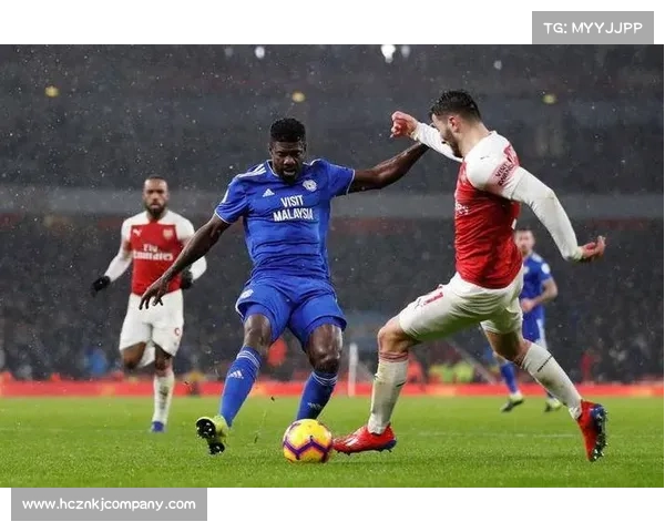 加的夫城足球联赛分类详解及球队表现分析